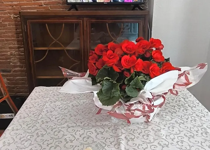 Apartman Via Pellettier 12